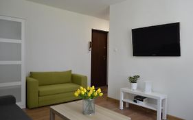Kameralne studio Vigo